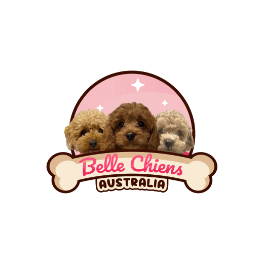 BelleChiens